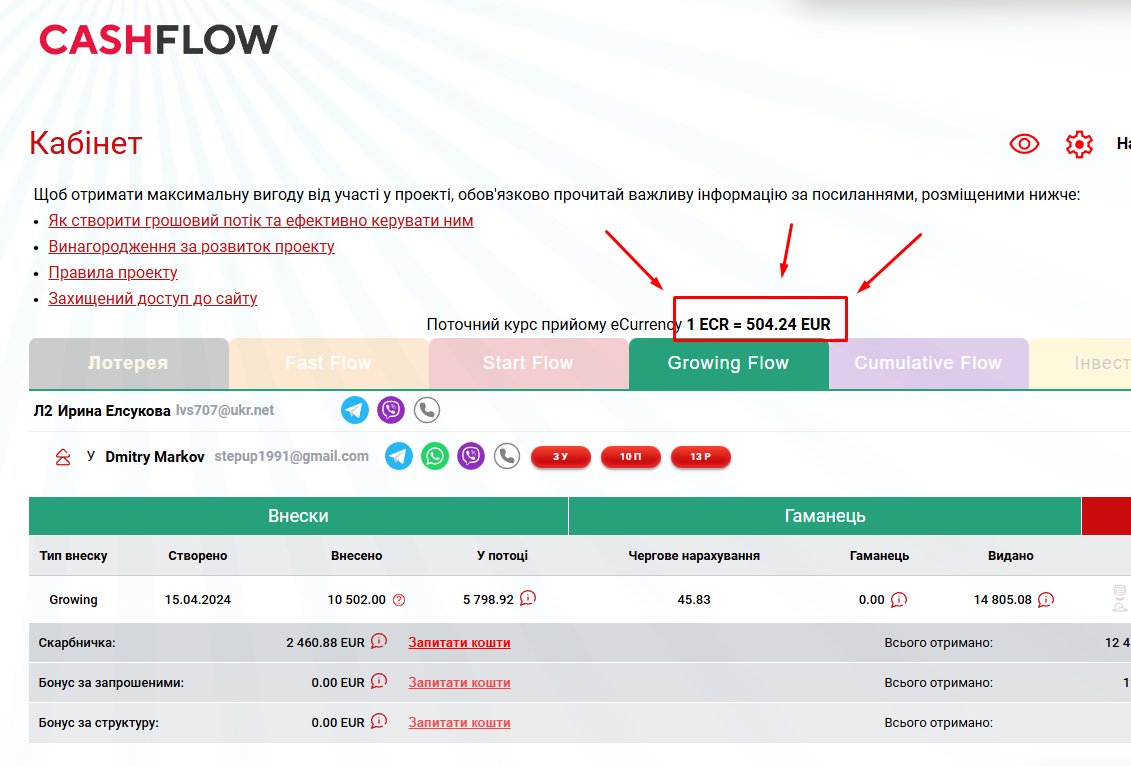 курс прийома eCurrency на платформе CashFlow